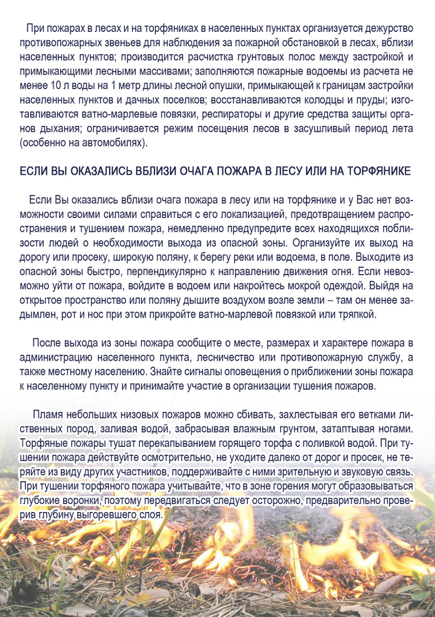 Пожары в лесах