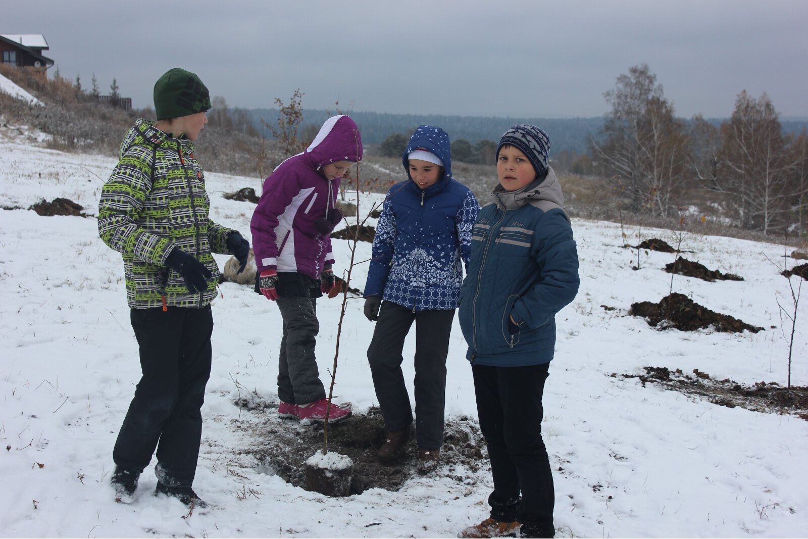 Будет здесь фруктовый сад!