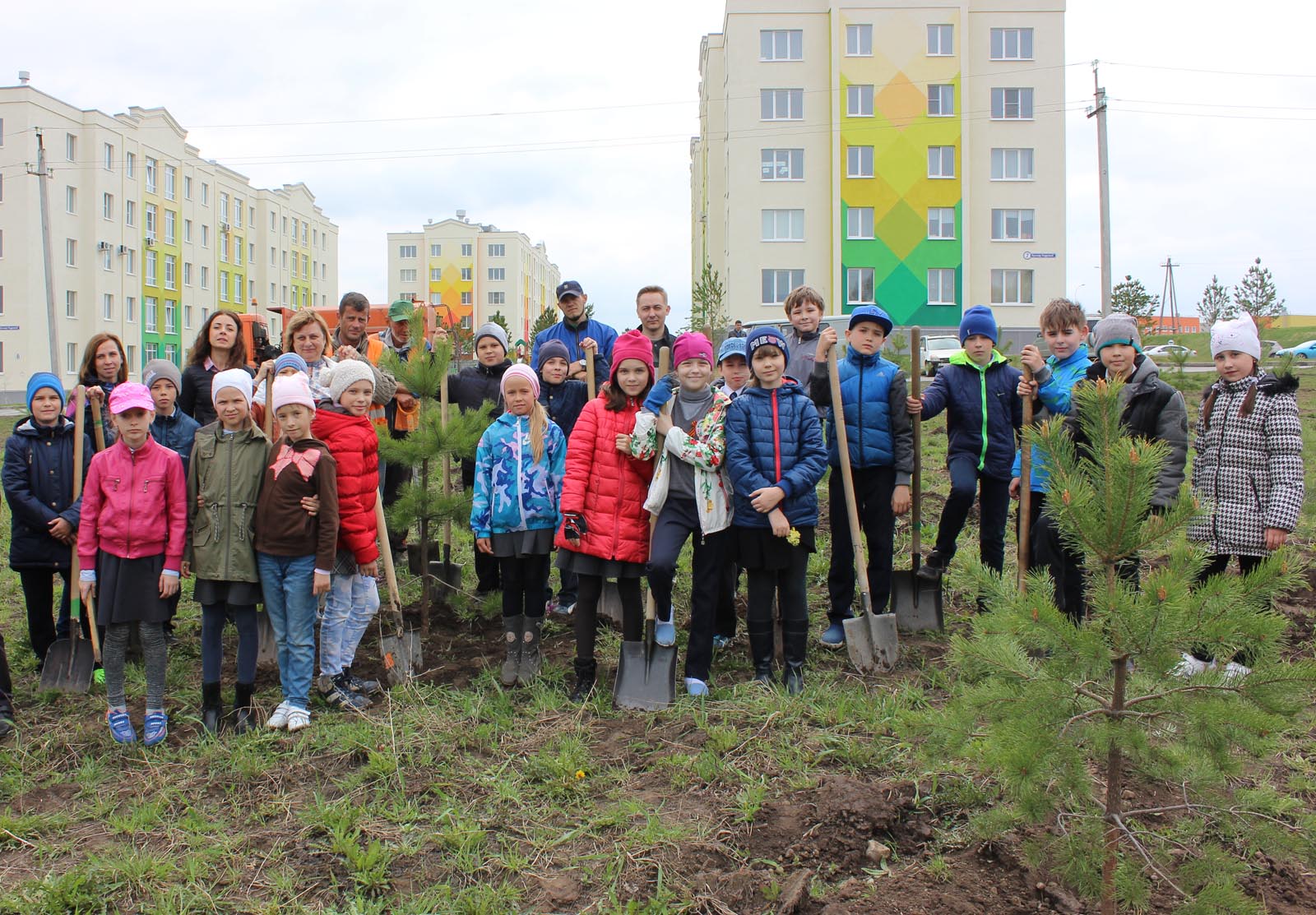 Зеленая волна